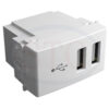 Modulo Toma Usb Doble Blanco Teclastar - Stg