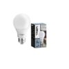 Bulbo Led E27 Frio 10 W. Trefilight