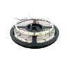 Tira de Led 5050 5Mts IP45 72W Frio Practiled