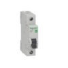 Int Termomag Unipolar 50A Schneider 4,5KA CurC